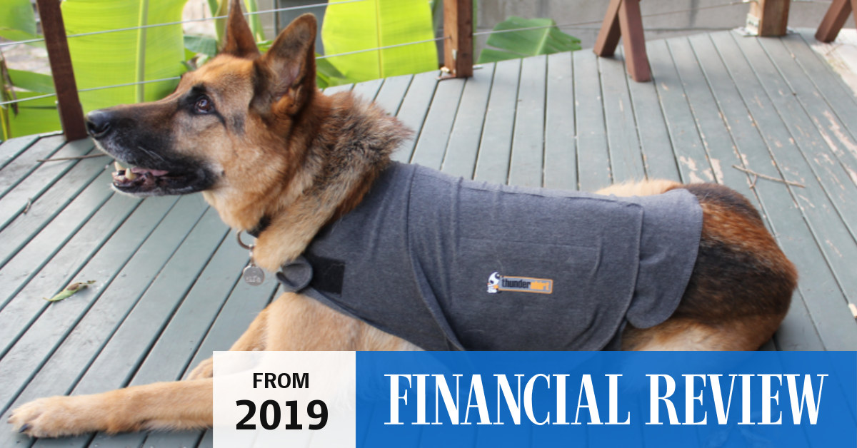 Thundershirt for shop german shepherd
